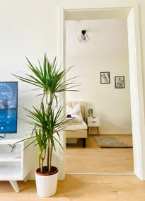 Modern apartment with a central location - Image 5