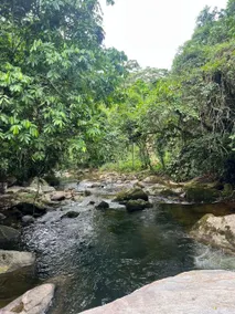 Private paradise with private waterfall and pool - Image 5