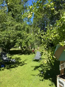 House surrounded by nature - Image 5