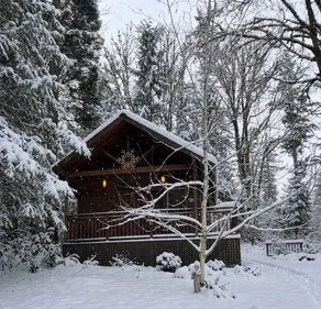 Huckleberry Cabin - Cozy 1 Room King Bed w/ View - Image 5