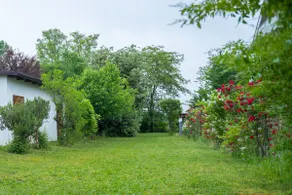 LUCIA s sweet Home - Image 4