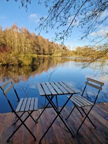 Waterfront ”Dragonfly” Eco-lodge - Image 3