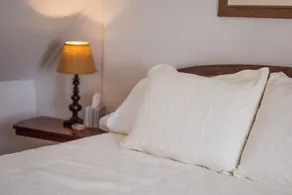 Moose Manor - Image 5
