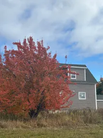 Barra Glen Farmhouse - Image 2
