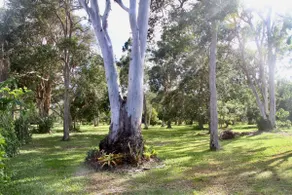 Enchanted Garden, 3BR Sandstone Pt/Bribie Island - Image 4