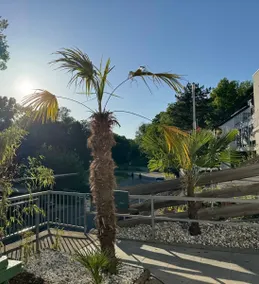 Nice apartment with charm and a private garden - Image 4