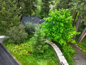 Adullam Nature Escape - 10 acres in Colbert WA - Image 5