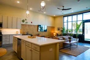 Jungle Jasper Suite - NEW Loft near Massachusetts! - Image 5