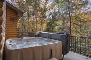 Real Log Cabin-Games-Cmty Outdoor Pool & Fire Pit - Image 2
