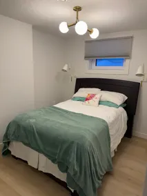 The Nest - Image 2