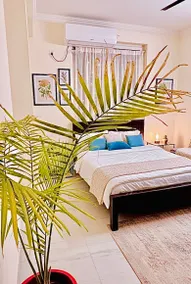 Pocket paradise by white rabbit bnb - Image 3