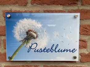 PusteBlume - Image 4