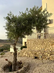 Entire Villa Baglio della Fico - Image 2