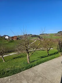 Quiet, in the countryside, and yet central - Image 5