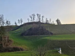 Quiet, in the countryside, and yet central - Image 4