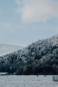 Franzl's Bergnest – Living with real mountain charm. - Image 4
