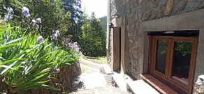 Mountain apartment with garden - Image 5
