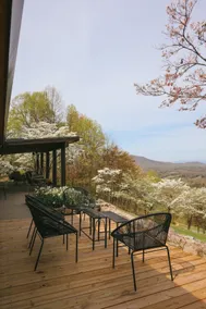 Blue Ridge 5BR Modern Retreat • Appalachian Views - Image 2