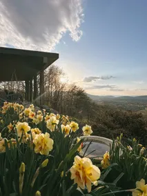 Blue Ridge 5BR Modern Retreat • Appalachian Views - Image 3