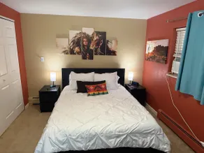 Garden Level APT near I70/Red Rocks/MTNS/DT/Golden - Image 4