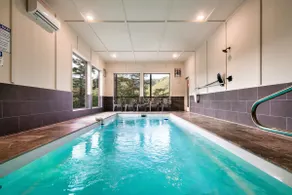 The Refined Raccoon Retreat - Image 3