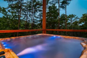 The Refined Raccoon Retreat - Image 4