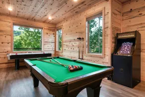The Refined Raccoon Retreat - Image 5
