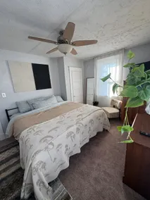 Stunning naturally lit upstairs apartment - Image 3