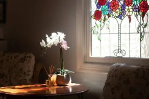 Rapunzel's cottage - Image 5