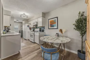 Austin 3BR Home Near Domain | Dog Friendly + Yard - Image 3