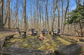 Secluded Forest Cabin with Cozy Porch w/ Hot Tub! - Image 3