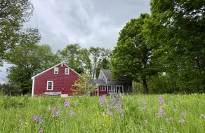 Lupine Cottage - Image 3