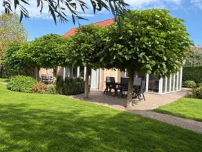 Holiday home Westenschouwen, close to the beach - Image 5
