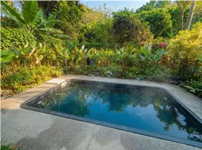 Designer Villa • Pool • Jacuzzi • Gardens - Image 3