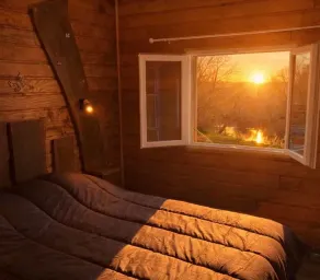 The Cabin in the Middle of Nowhere - Image 3