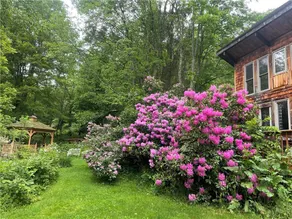 The Cabin - Image 2