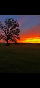 Sunset Haven - Image 5