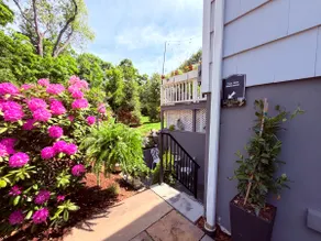 Whimsical Westport Studio -1 mile walk to downtown - Image 3