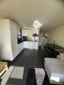 Modern Apartment near Aachen & the Tri-Border Area - Image 3