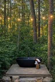Little Forest Cottage - Image 3