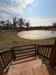 Lakeside Cabin - Image 5
