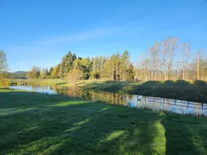Cabin on Spring Creek Pond - Image 2