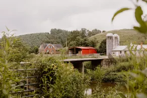 Kate's cottage - Image 4