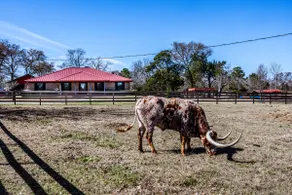 Hoofs and Horns Private Ranch - Image 2