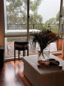 Jujo | Treetop Retreat - Image 5