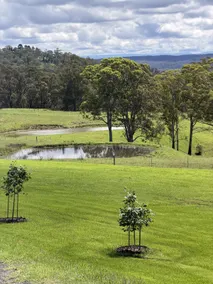 Yambora ' Luxe Hideaway' Minutes to Bowral - Image 3