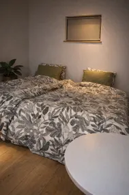 LeSon Ninomiya | Sleeps 6 | Entire building for rent with parking (Tsuyama) - Image 4