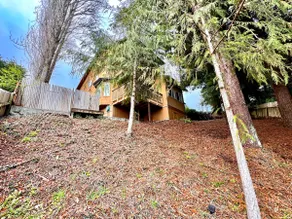 Redwood House - Image 5