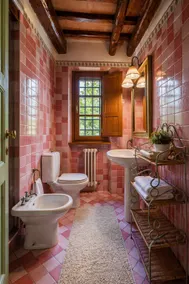 Rustic home in the hills 30 minutes from Lucca + Free Parking - Image 5