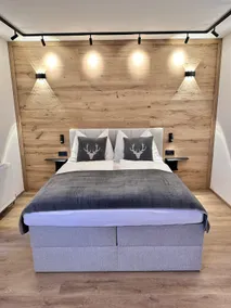 Alpin Studio Haus, Kaibling & Ski amadé - Image 2